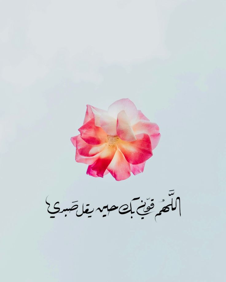 يا الله❤️..