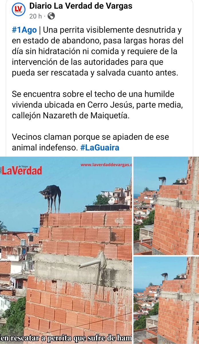 Grave denuncia en La Guaira Vargas. ¡¡¡URGE rescate!!!