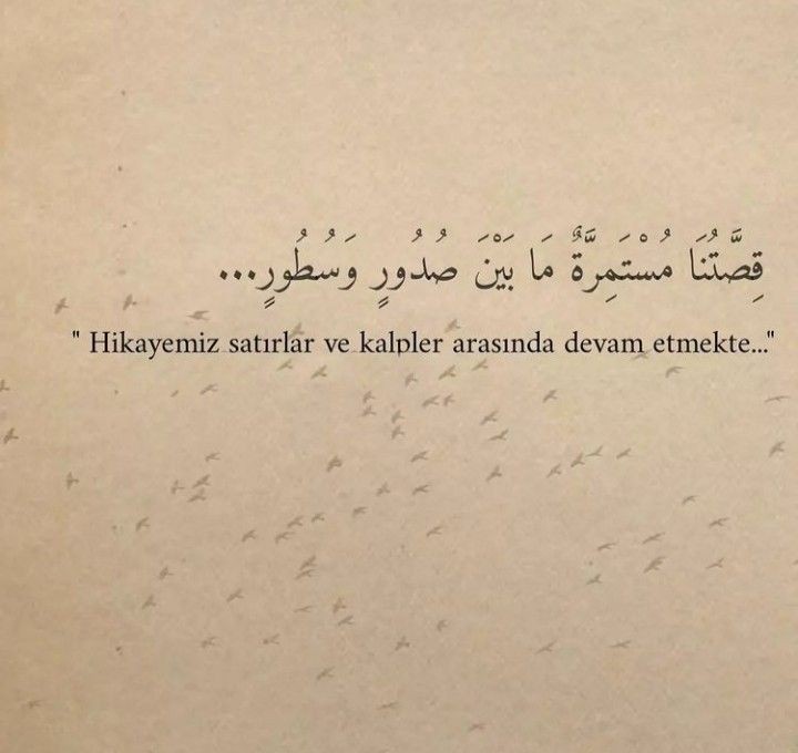 '🐅 (@userrr347896) on Twitter photo 