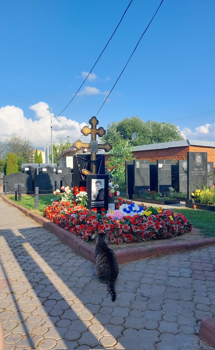 футурама с алексеем.