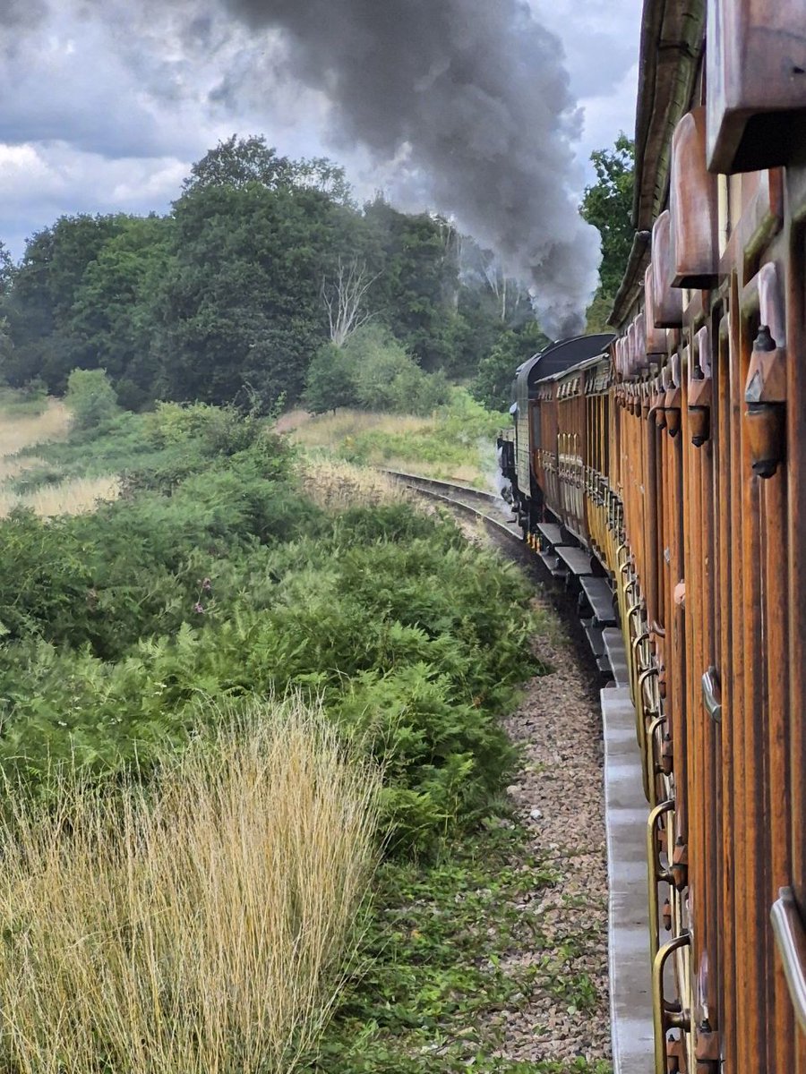 Pup_Sharp (@anthonystew) on Twitter photo 