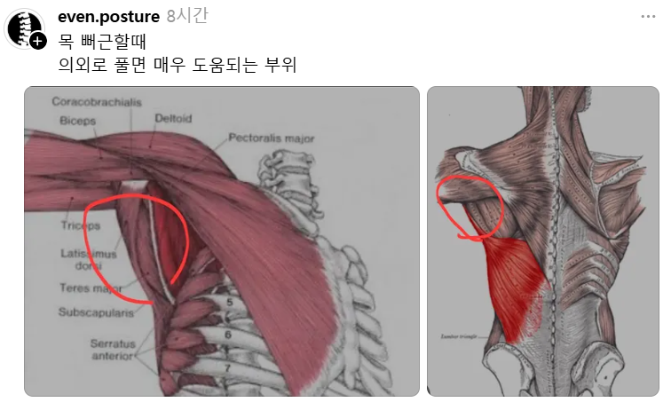 wildcatclub_'s tweet photo. 목이 뻐근할 때 의외로 풀면 매우 도움되는 부위 https://t.co/oTAotr4fwY