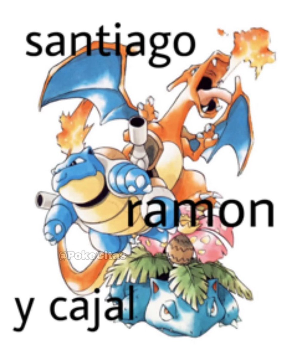 Memes Pokémon (@pokecitas) on Twitter photo 