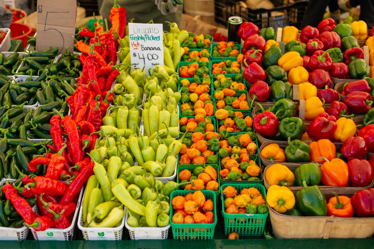 Canada offers a rich variety of local produce, restaurants &amp; shops, making it easy to #BuyCanadian! This summer, enjoy our produce: fresh corn, tomatoes, peaches &amp; more. Not into cooking? Support a local Canadian restaurant! Where do you shop locally? #FoodDayCanada 🍅🌽🍑