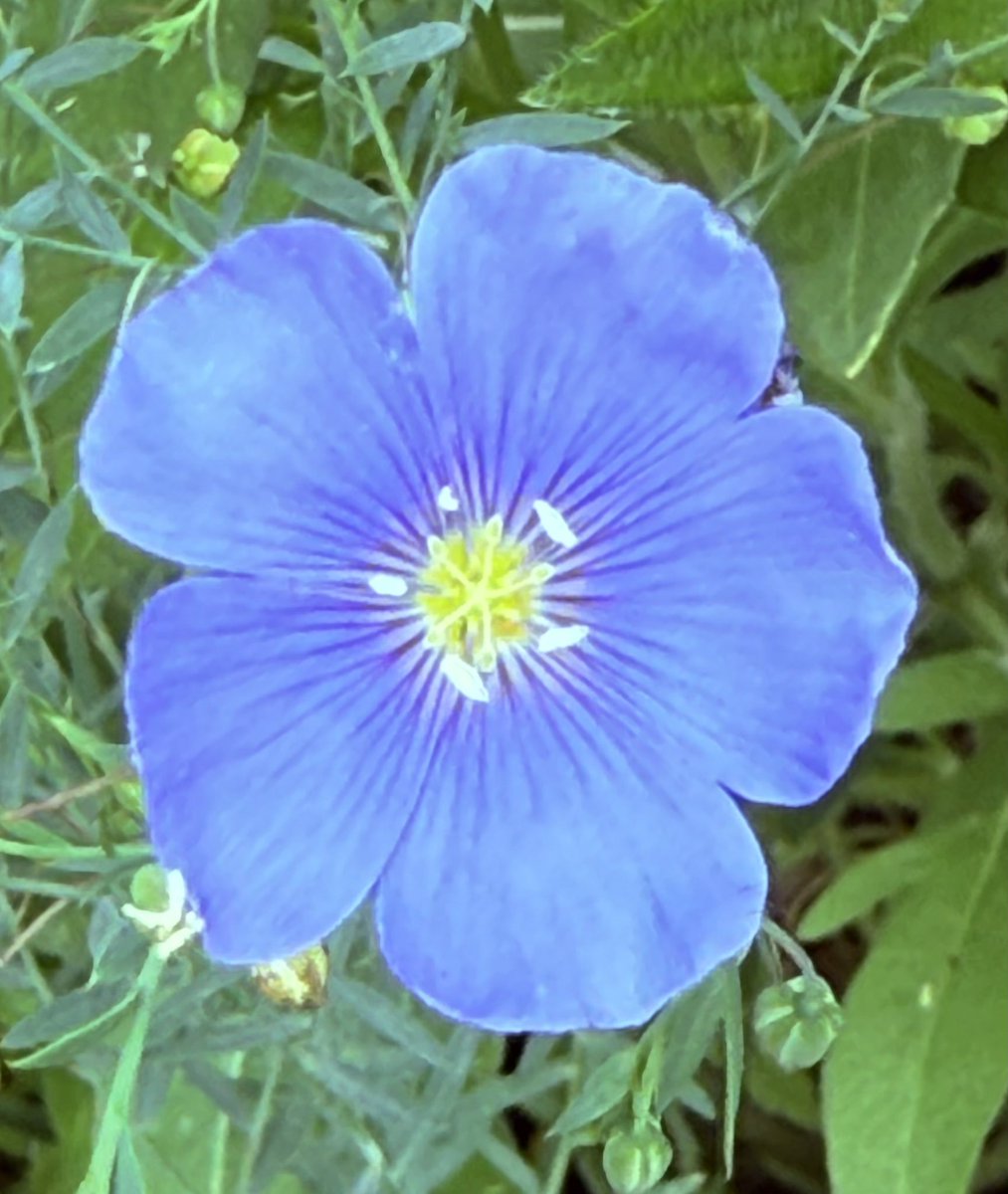 John Christiansen tweet media