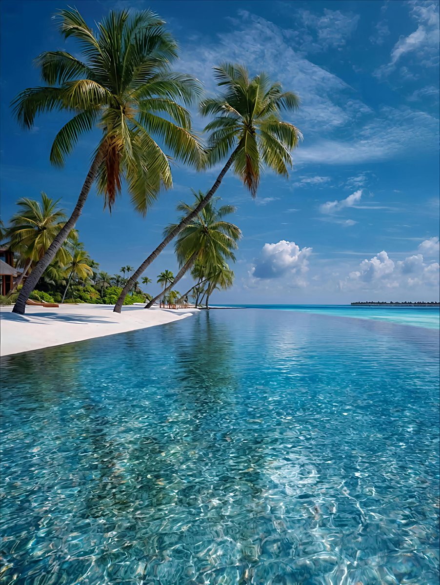 Seascape Nature tweet media