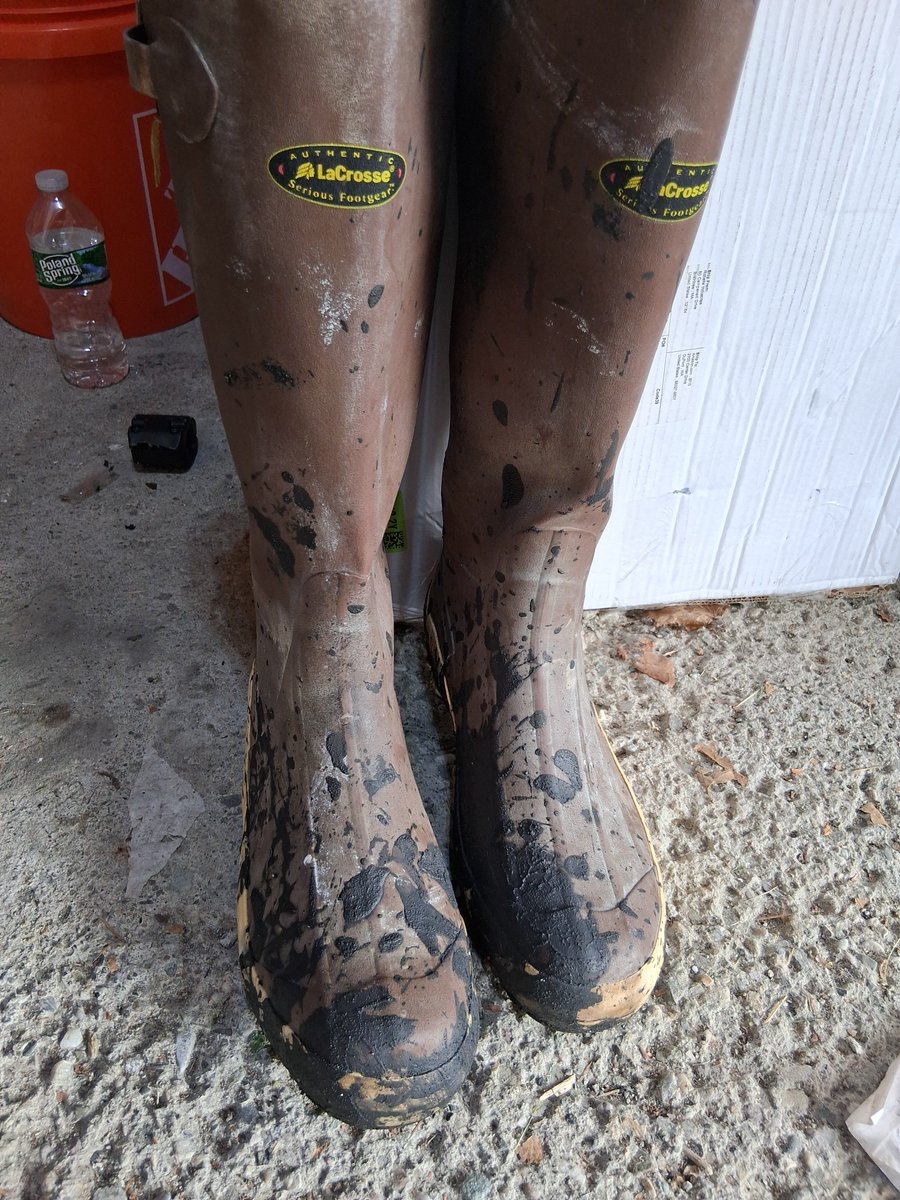 Rubberbootpig tweet media