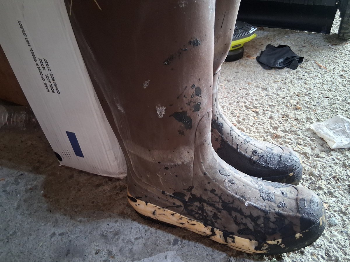 Rubberbootpig tweet media