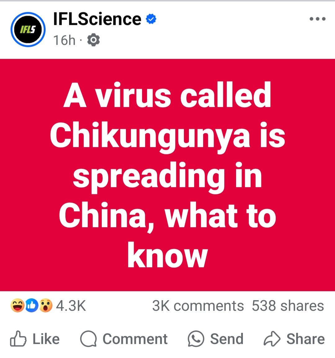 ica 💜 tweet media