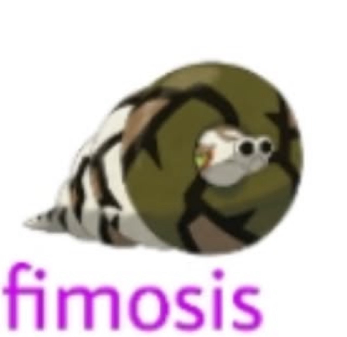 Memes Pokémon (@pokecitas) on Twitter photo 