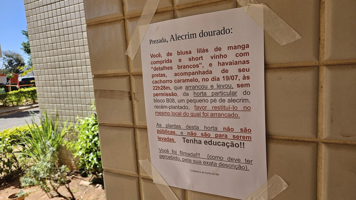 Sociedade de baixa confiança