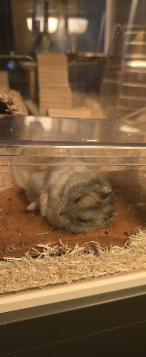 케케케케케
푸둥푸둥