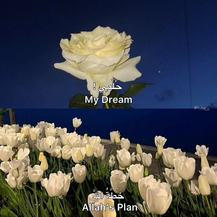 تذكير (@almsllim) on Twitter photo 