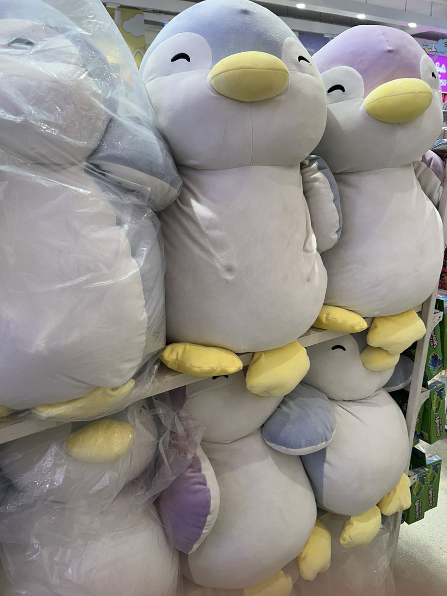Who wants a pudgy?