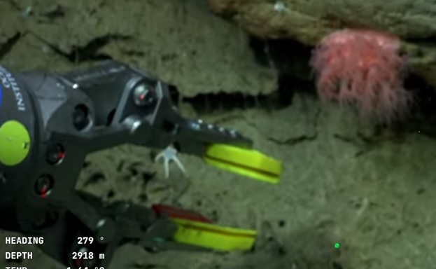 És que fins i tot hi ha moments de tensió narrativa sublims!