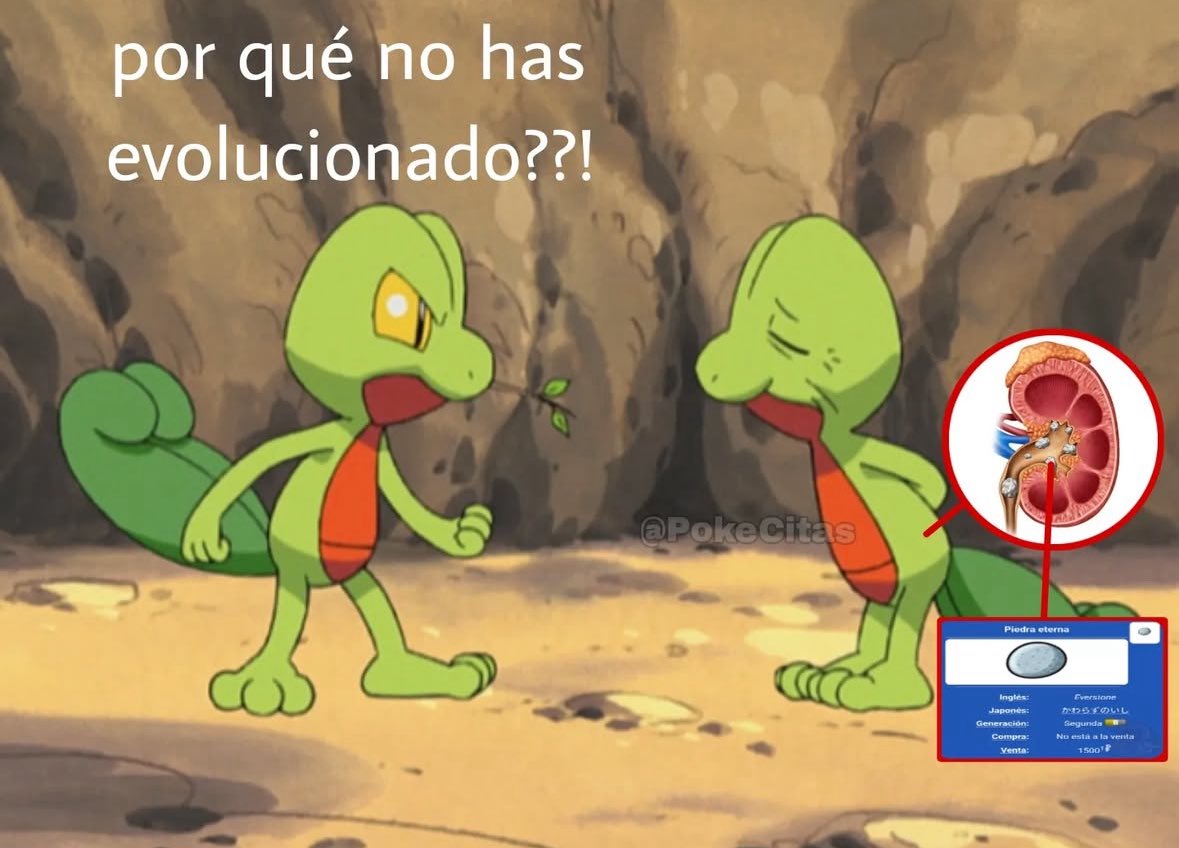 Memes Pokémon (@pokecitas) on Twitter photo 