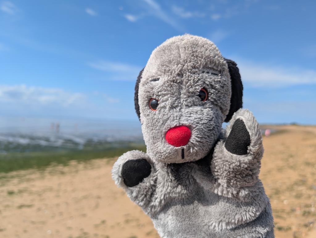 Helllooo 👋
Nic ordered the sun ☀️ 🎉
#SweepOnHoliday #SweepOutAndAbout