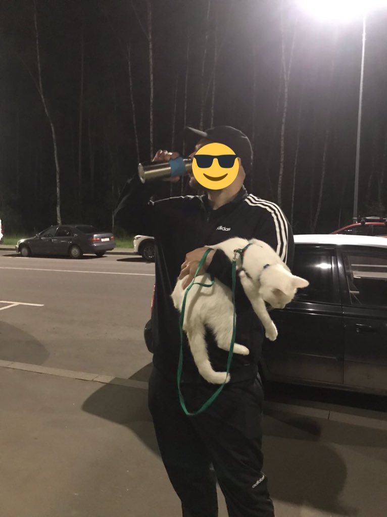 Просветление tweet media