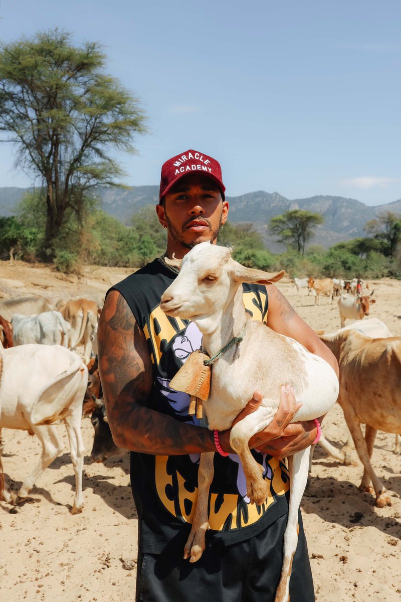 copsehamilton's tweet image. Pick yourself up 🐐💜@LewisHamilton