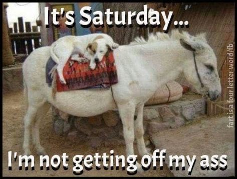 Miss Mona (@whalenmona) on Twitter photo <a href="/PaulMer53/">PAULWALES THE CRAZY TRAIN ๐ค GUNS N ROSES ๐น</a> <a href="/FrankKane11/">Kane's Street Smarts</a> <a href="/whale20564/">Miss M</a> <a href="/bdonesem/">๐ ๐๐ฑ๐ฒ๐ผ๐น๐ฎ๐ป ๐ ( โ๐๐ต ) ๐</a> <a href="/smontijo02/">PixelPusher</a> <a href="/satansradio666/">MAGA ROCK GAINS</a> <a href="/GilbertWanda/">Wanda Gilbert๐ฅ</a> <a href="/operater404/">๐ฎ๐๐ ๐ธ๐๐๐ ๐ถ๐๐๐</a> <a href="/AMMOCOLLECTOR3/">Ammo</a> <a href="/DivineExpo50175/">DivineExposรฉ</a> <a href="/_TheYoungBlood/">Matt Youngblood๐บ๐ธ๐บ๐ธ๐บ๐ธ</a> <a href="/EagleEyedEve/">Lexy</a> <a href="/annieoakley_69/">AnnieOakley69</a> <a href="/Sandy1Texas/">sandym</a> <a href="/BoyMamma71/">MistyBelles</a> <a href="/ZeTeamZ/">Zey</a> <a href="/5thtimeacharm/">Buster๐ฅฉ๐ฅ๐ง๐ณ</a> <a href="/airplanelanefl/">airplanelane</a> <a href="/TAT73787/">Texas_Matador</a> <a href="/RadicalSuz/">California Suz</a> <a href="/CoopandKCmom/">Liz Roberts</a> <a href="/PaulMer53/">PAULWALES THE CRAZY TRAIN ๐ค GUNS N ROSES ๐น</a> <a href="/FrankKane11/">Kane's Street Smarts</a> <a href="/whale20564/">Miss M</a> <a href="/bdonesem/">๐ ๐๐ฑ๐ฒ๐ผ๐น๐ฎ๐ป ๐ ( โ๐๐ต ) ๐</a> <a href="/smontijo02/">PixelPusher</a> <a href="/satansradio666/">MAGA ROCK GAINS</a> <a href="/GilbertWanda/">Wanda Gilbert๐ฅ</a> <a href="/operater404/">๐ฎ๐๐ ๐ธ๐๐๐ ๐ถ๐๐๐</a> <a href="/AMMOCOLLECTOR3/">Ammo</a> <a href="/DivineExpo50175/">DivineExposรฉ</a> <a href="/_TheYoungBlood/">Matt Youngblood๐บ๐ธ๐บ๐ธ๐บ๐ธ</a> <a href="/EagleEyedEve/">Lexy</a> <a href="/annieoakley_69/">AnnieOakley69</a> <a href="/Sandy1Texas/">sandym</a> <a href="/BoyMamma71/">MistyBelles</a> <a href="/ZeTeamZ/">Zey</a> <a href="/5thtimeacharm/">Buster๐ฅฉ๐ฅ๐ง๐ณ</a> <a href="/airplanelanefl/">airplanelane</a> <a href="/TAT73787/">Texas_Matador</a> <a href="/RadicalSuz/">California Suz</a> <a href="/CoopandKCmom/">Liz Roberts</a>