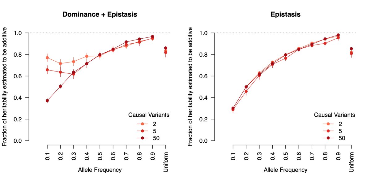 The proportion of epistatic heritability that is estimated as additive by quantitative genetic models. Epistasis deviates more from additivity for lower frequency causal alleles, but on average &gt;80% of biological GxG will just look like statistical G.