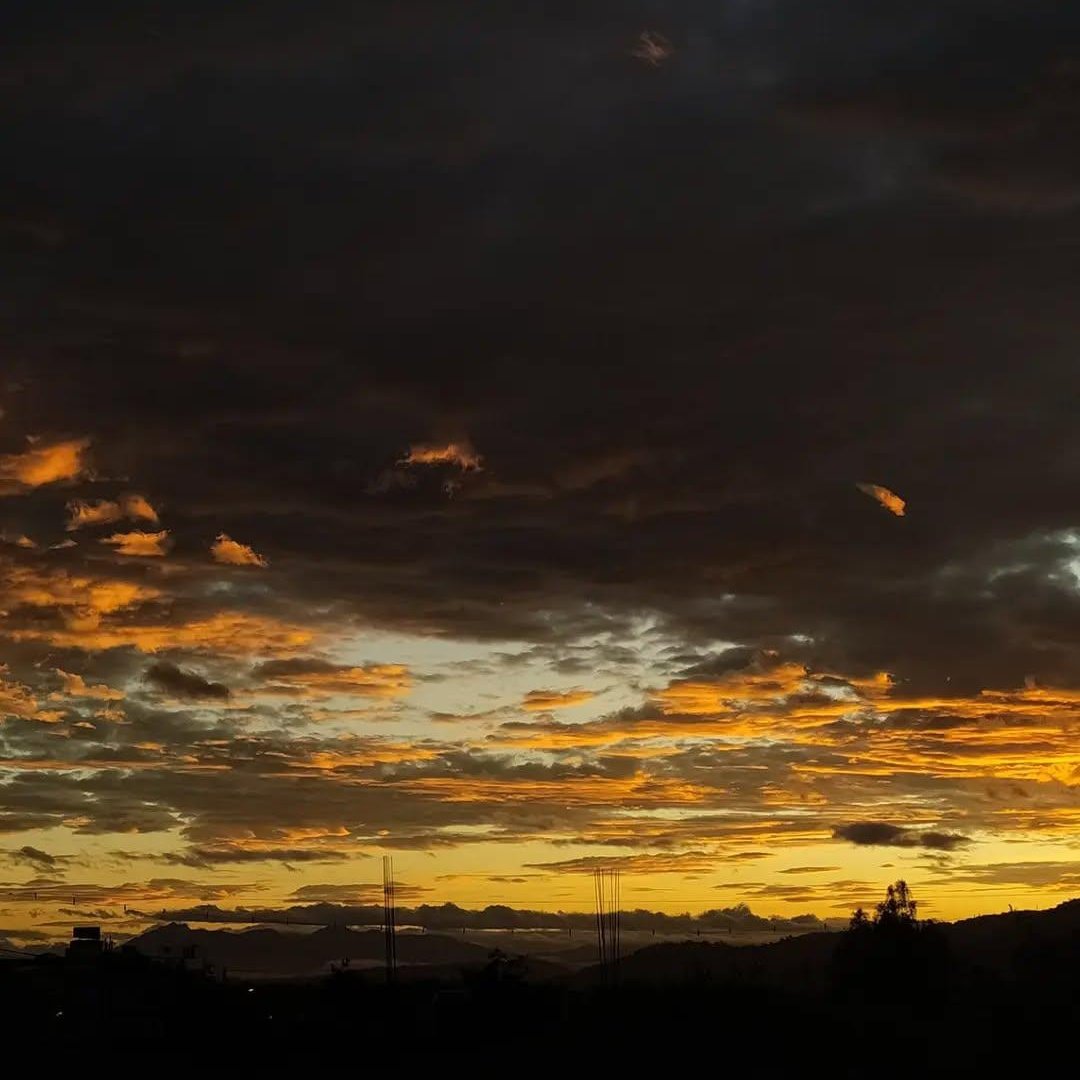 Sary 🤍 tweet media