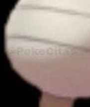 cada vez que veáis esta imagen, haced zoom en la pierna… always ✨🕶️🐢