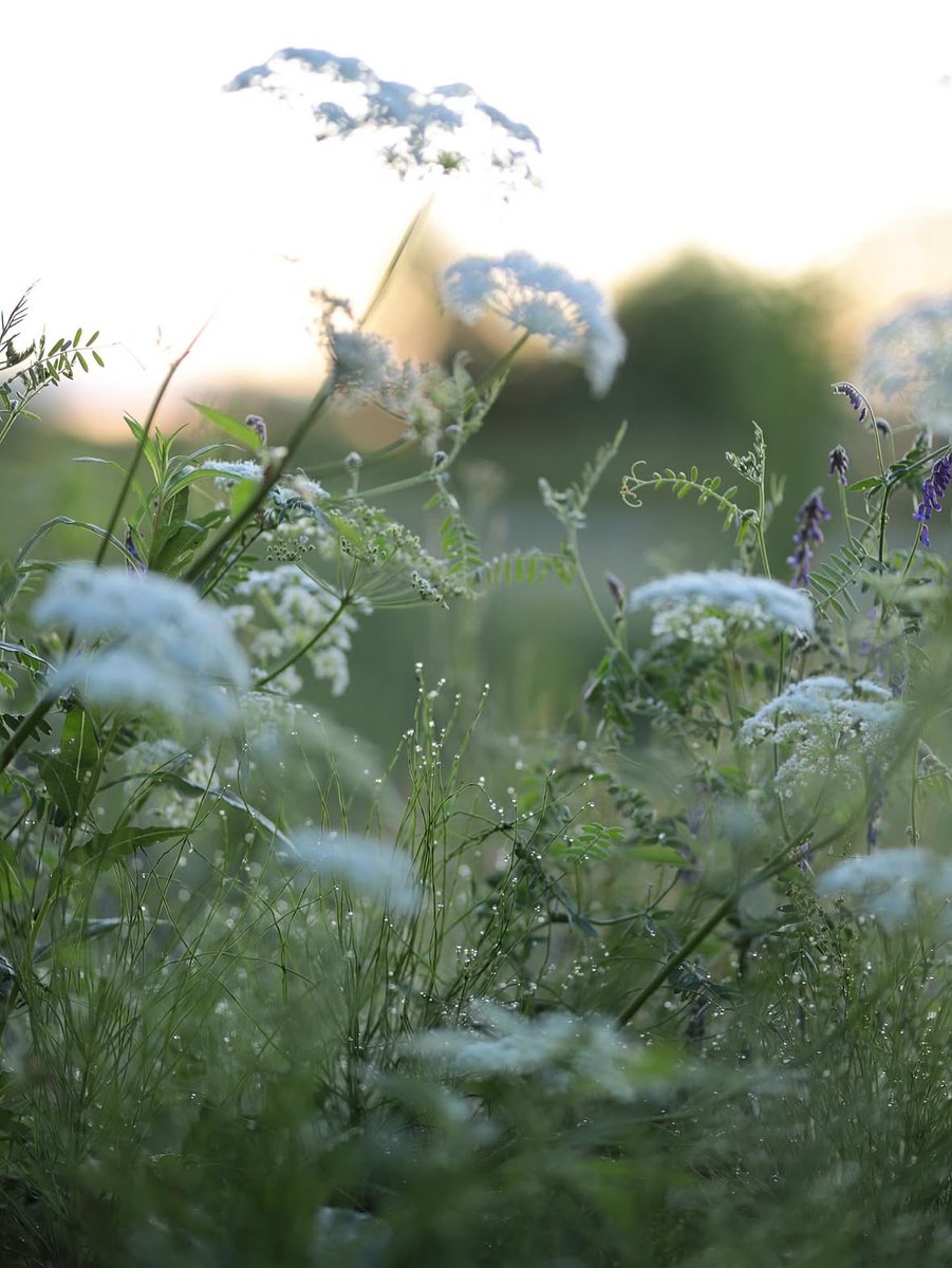 “Don’t lose heart, dear ones – don’t lose heart. 
Don’t let it make you bitter. Try to understand. 
Try to understand. The world’s already bitter 
enough, we got to try to be better than the world.”  

~ James Baldwin, 𝐴𝑛𝑜𝑡ℎ𝑒𝑟 𝐶𝑜𝑢𝑛𝑡𝑟𝑦
Aug. 2, 1924–Dec. 1, 1987
·