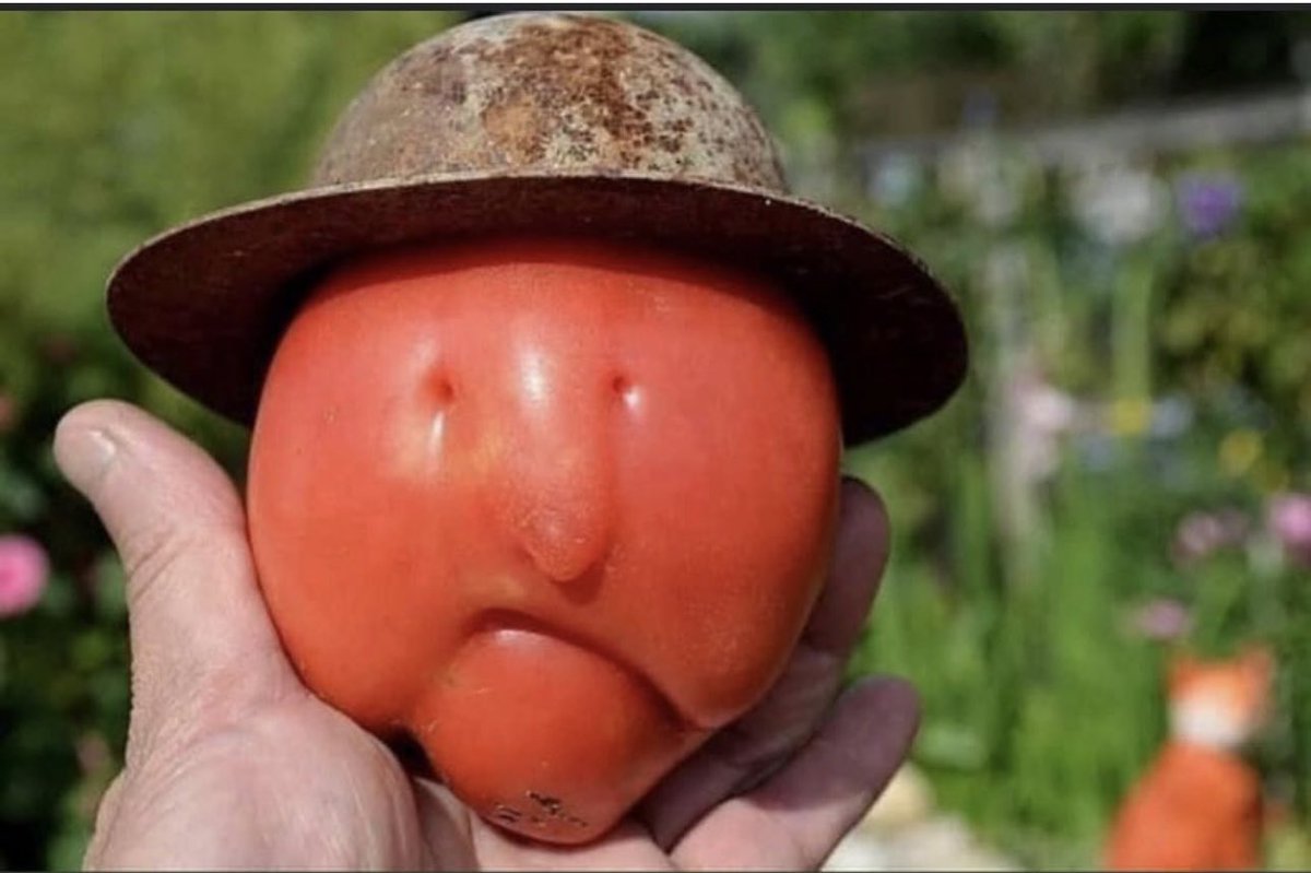 Internet always wins! The salute to #LarryBird tomato photo is a classic. Pride of French Lick
