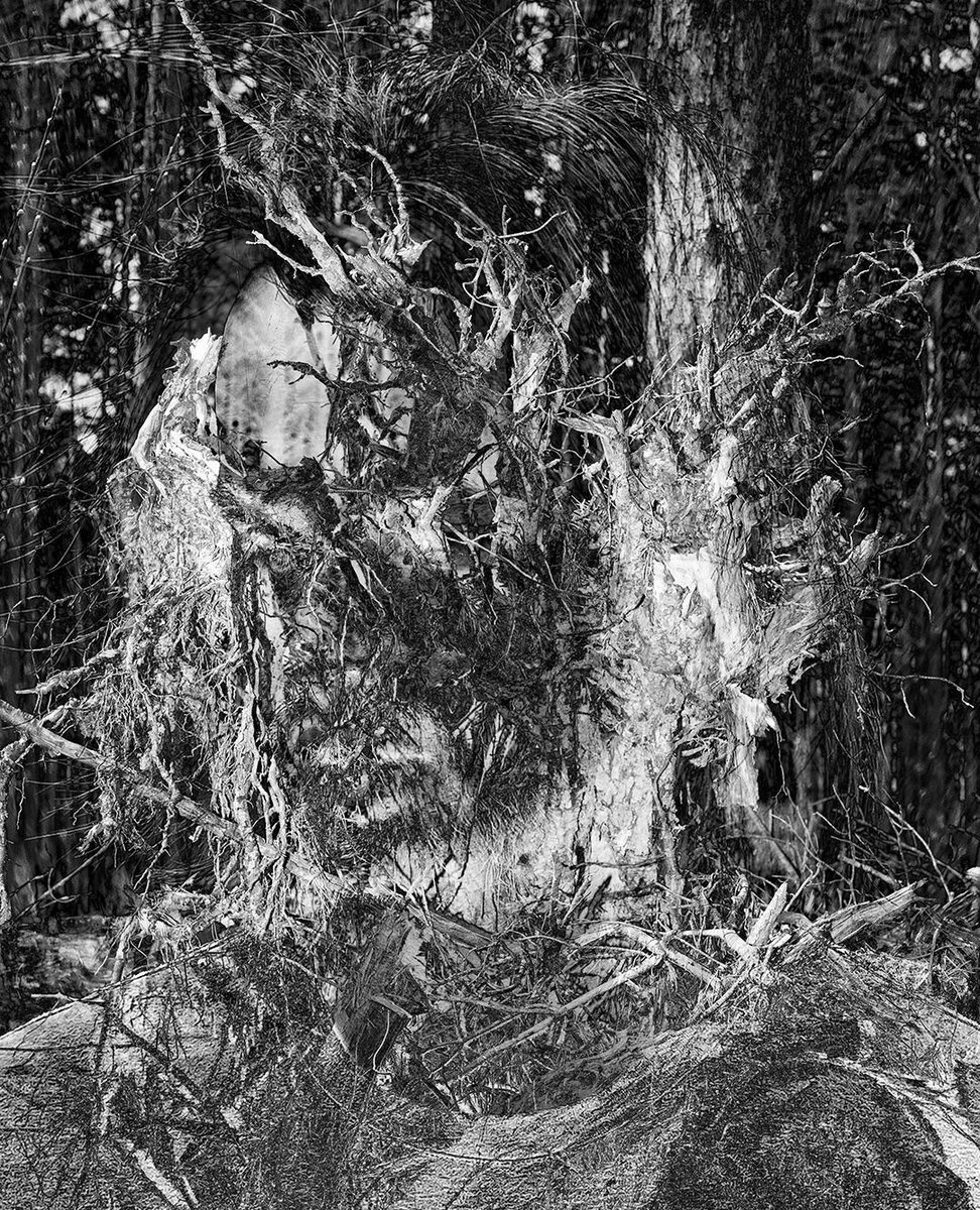 PhotoED Magazine tweet media