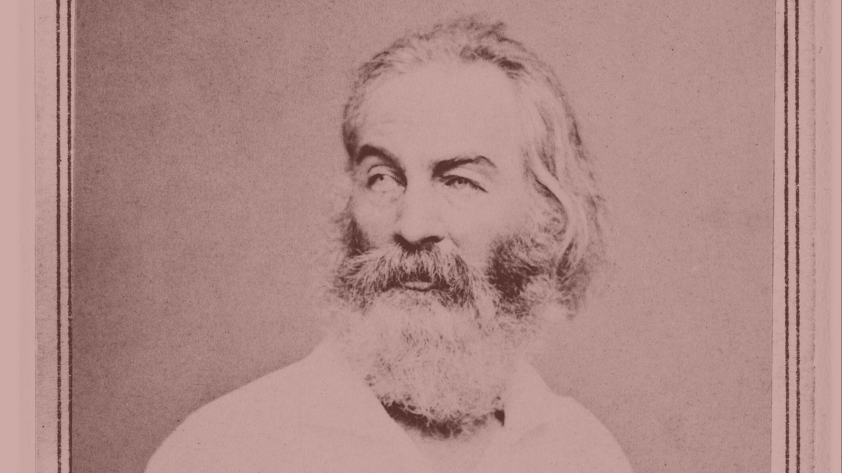 Poetry In America tweet media