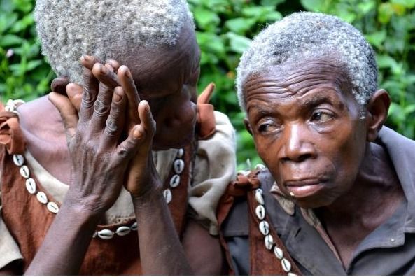 Ever heard of the "Keepers of the Forest"? The Batwa Pygmies of Uganda have a rich 60,000-year history! Learn about their fascinating culture. Visit bwindiforestnationalparkuganda.com/batwa-experien…  #bwindiimpenetrablepark
#bwindinationalpark
#bwindipark