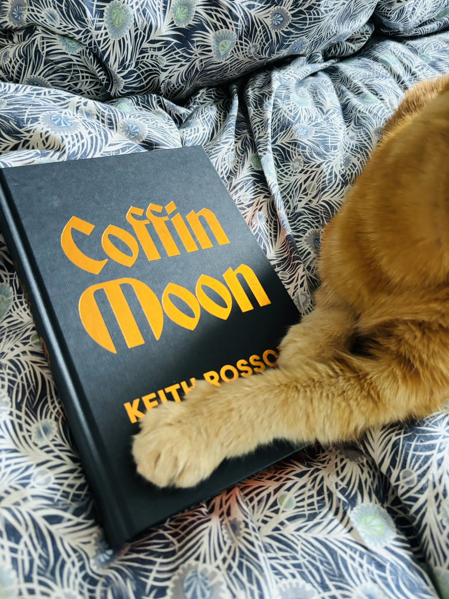 Thought I’d pop in to see if there are still sane and friendly book folks here

Showing off my two favourite things

Horror and Cats ❤️

What’s on your TBR this weekend? Pet content a bonus