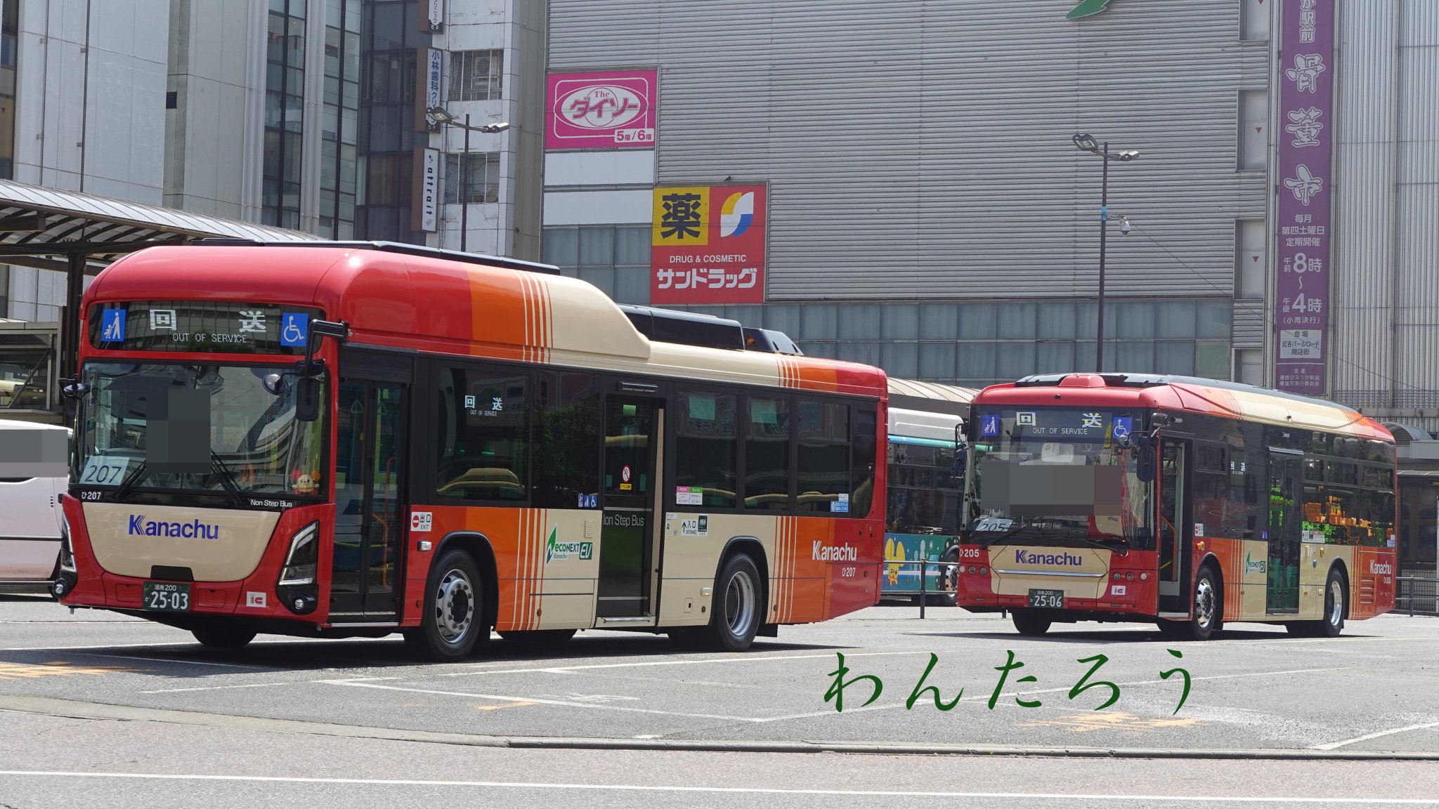 ナマズ 五光 大 mqdefault.jpg