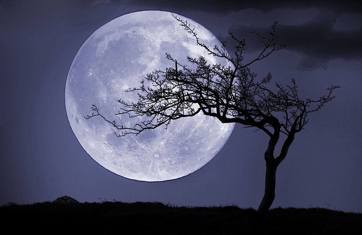 “And in between the moon and you the #angels get a better view of the crumbling difference between wrong and right.”

-Counting Crows in their song, “Round Here” (1993) composed by Duritz, Jewett, Roldan, and Janusko #music #song #poetry #lyric #caruSONG #DayQuote