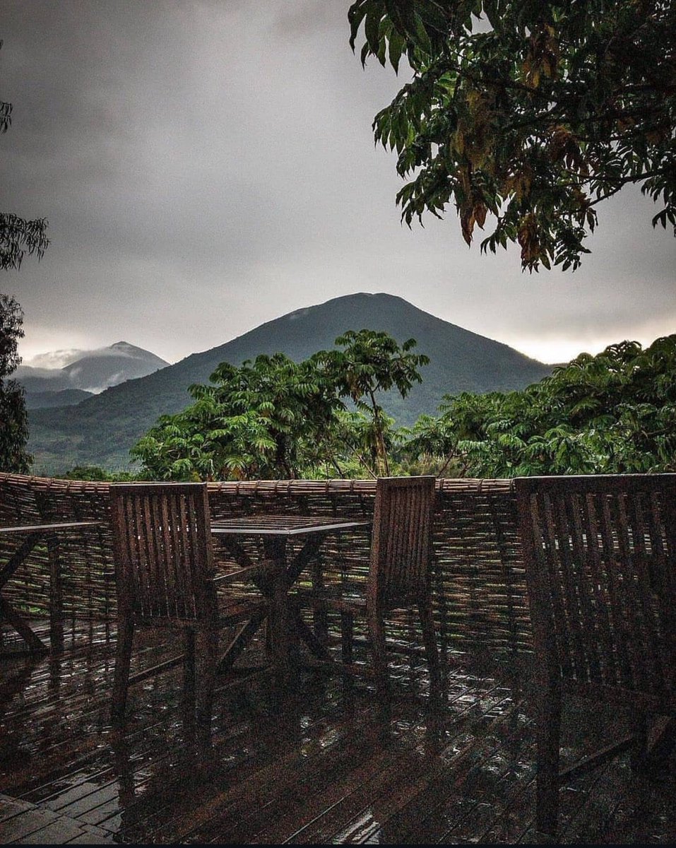 officialapartay's tweet image. Six domes. One unforgettable experience.🥹
Tucked into the heart of nature, Bisate Lodge blends raw Rwandan beauty with high-end luxury like nowhere else.🤭
Rwanda is calling for a visit—don't hesitate!🧡