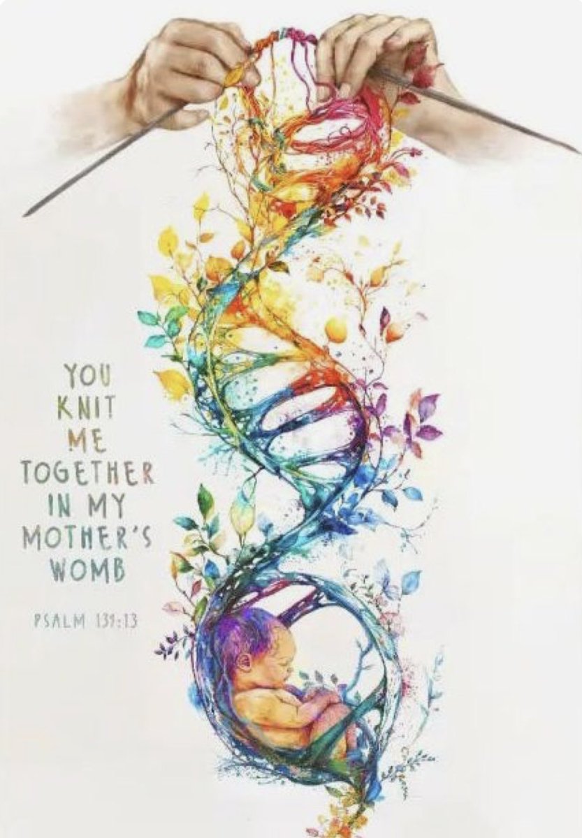 Choose LIFE Ministries has the privilege of sharing LIFE with all ages at Calvary Baptist in Virginia Beach, VA tomorrow morning at 11:00 August 3, 2025. God formed us in the womb fearfully and wonderfully Psalm 139.
#chooselifeusa
#virginia2025