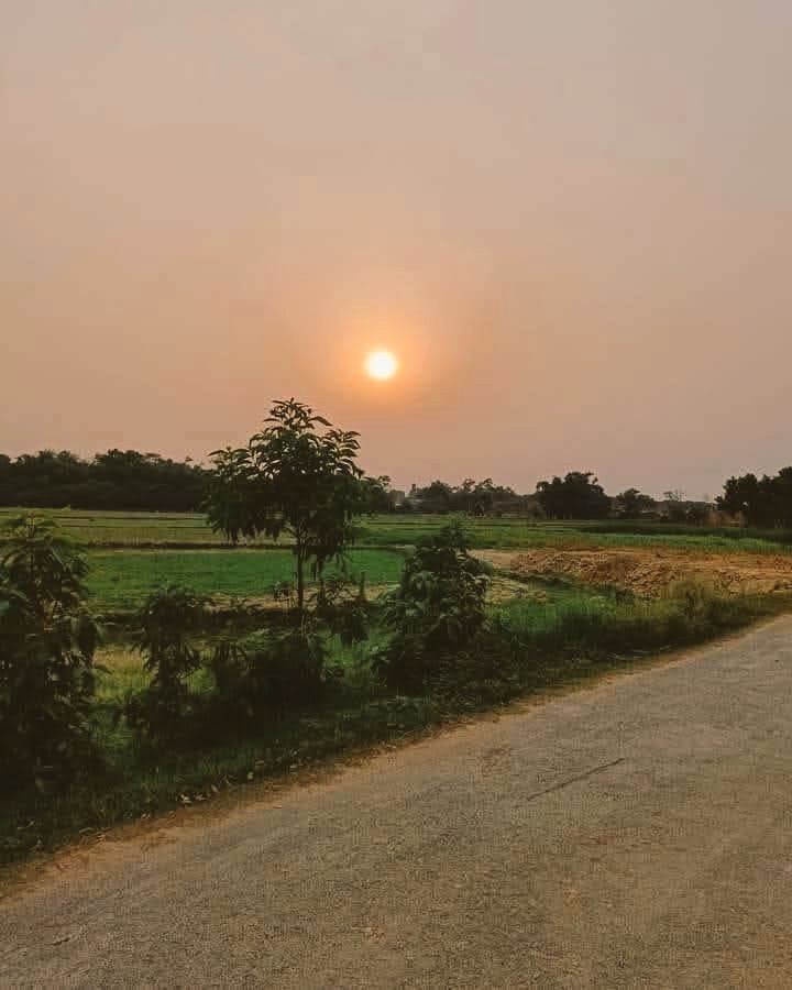 #शुभसंध्या दोस्तों 🙏 
सूरज ने ली विदाई, शाम लेकर आई रौशनी की छांव,
दुआ है आपकी हर संध्या लाए खुशियों का पैगाम। 🌇🌼
#जय_श्री_राम 🙏