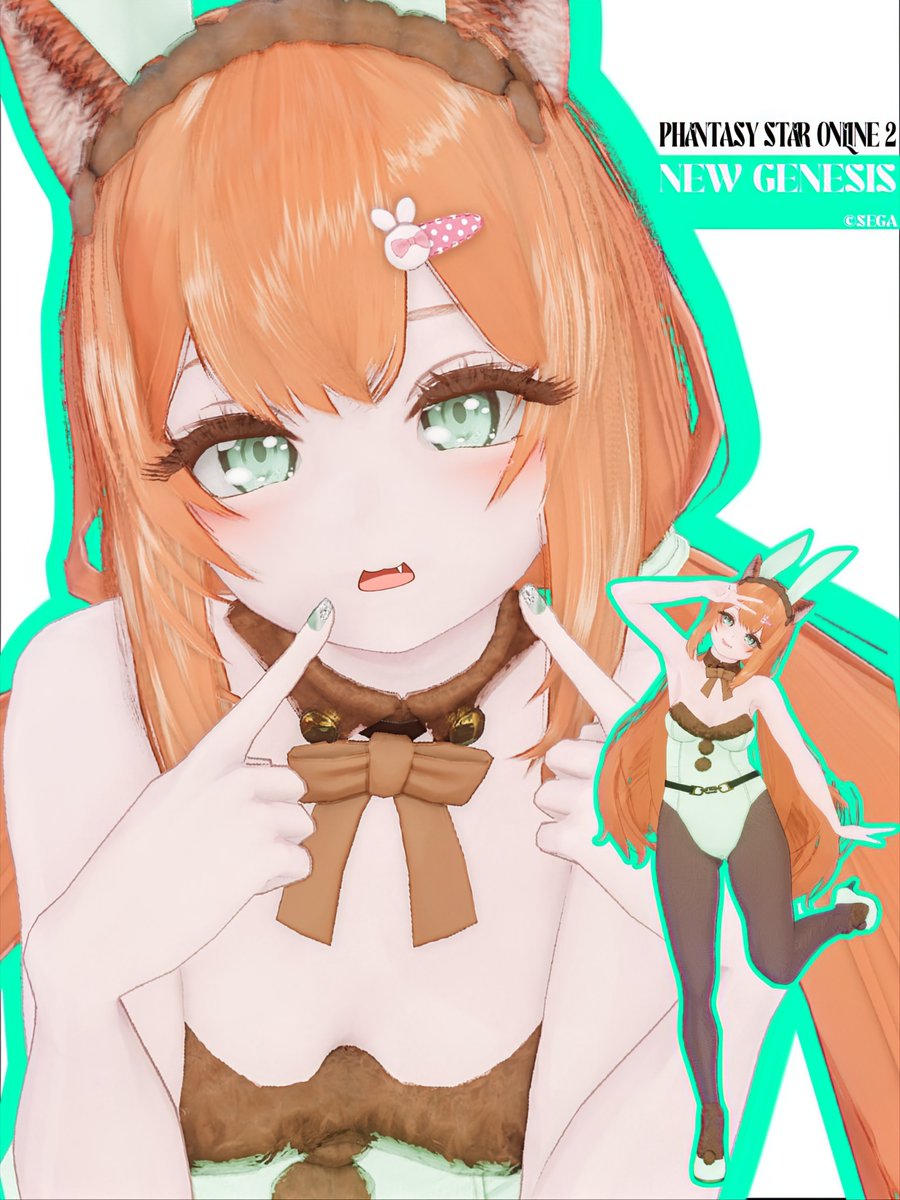 #バニーの日
#PSO2NSG_SS 
ᙏ̤̫͚