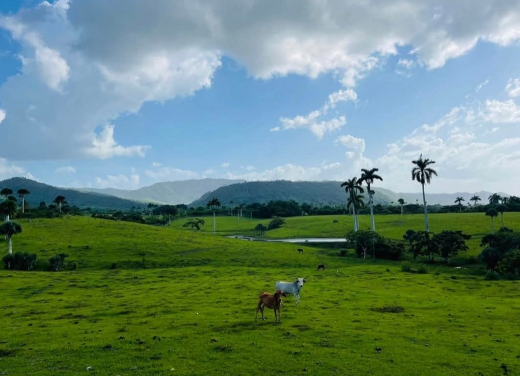 A view of the countryside in Cabaiguán 🇨🇺