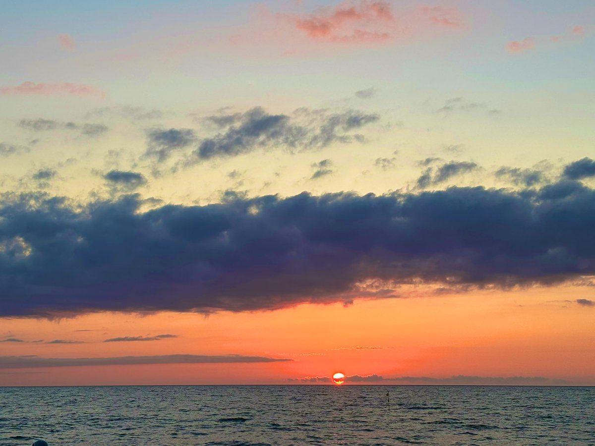 kenbo_555's tweet photo. 海キャンプ最高😏🌊
たまにキツネいる🦊
#海　#夕日　#キツネ　#体ベトつく
#キャンプ飯　#片付け https://t.co/BykkzWre8C