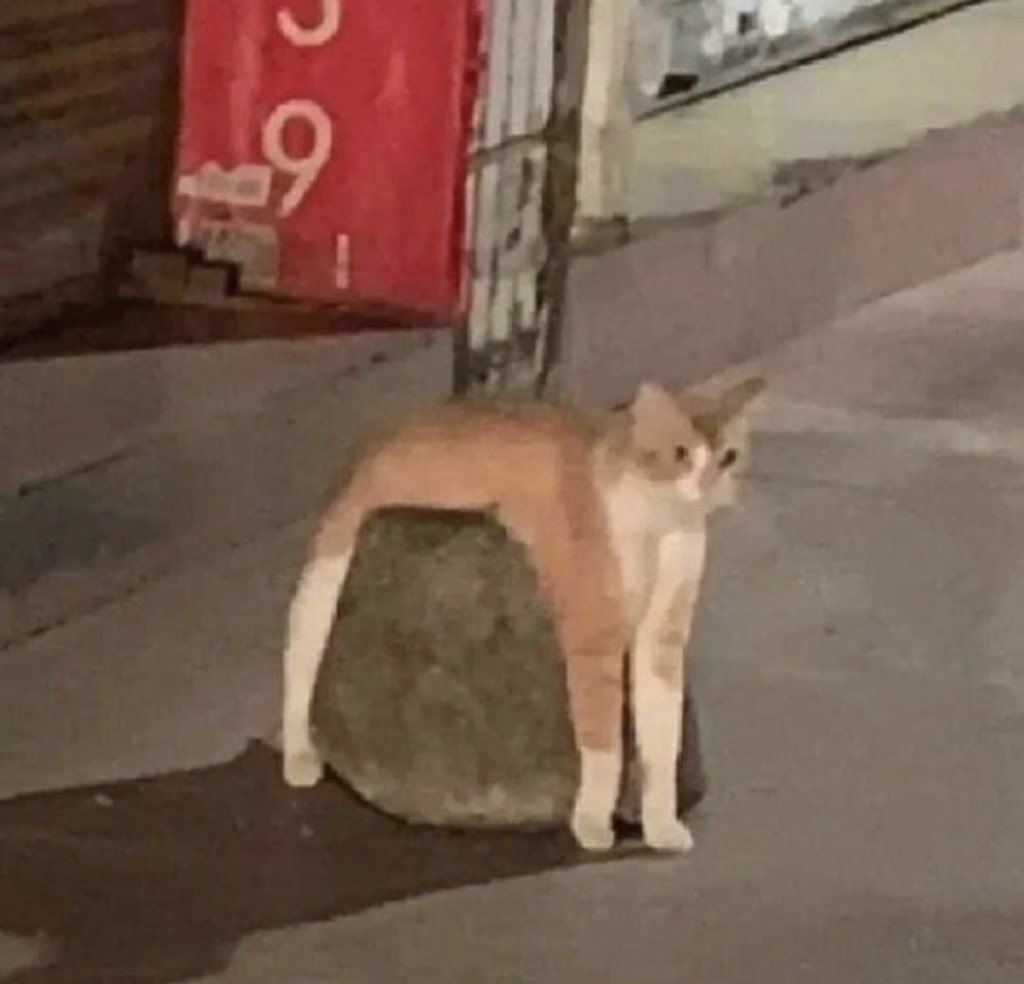 Tag your bros
Drop your wallet

Free rocks are coming 🪨🪨🪨

(Random wallets will be chosen)