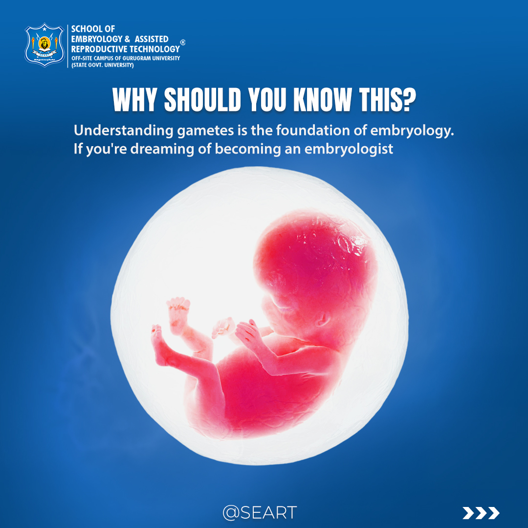 SeartEmbryology's tweet image. Life starts with egg and sperm!
.
If you are looking for clinical Embryology courses
.
#EmbryologyBasics #GametesExplained #StartOfLife #ScienceForEveryone #LearnEmbryology #SEART #FutureEmbryologist #embryology #ART #IVF #labtraining #SEART #medicalscience #microscopy
