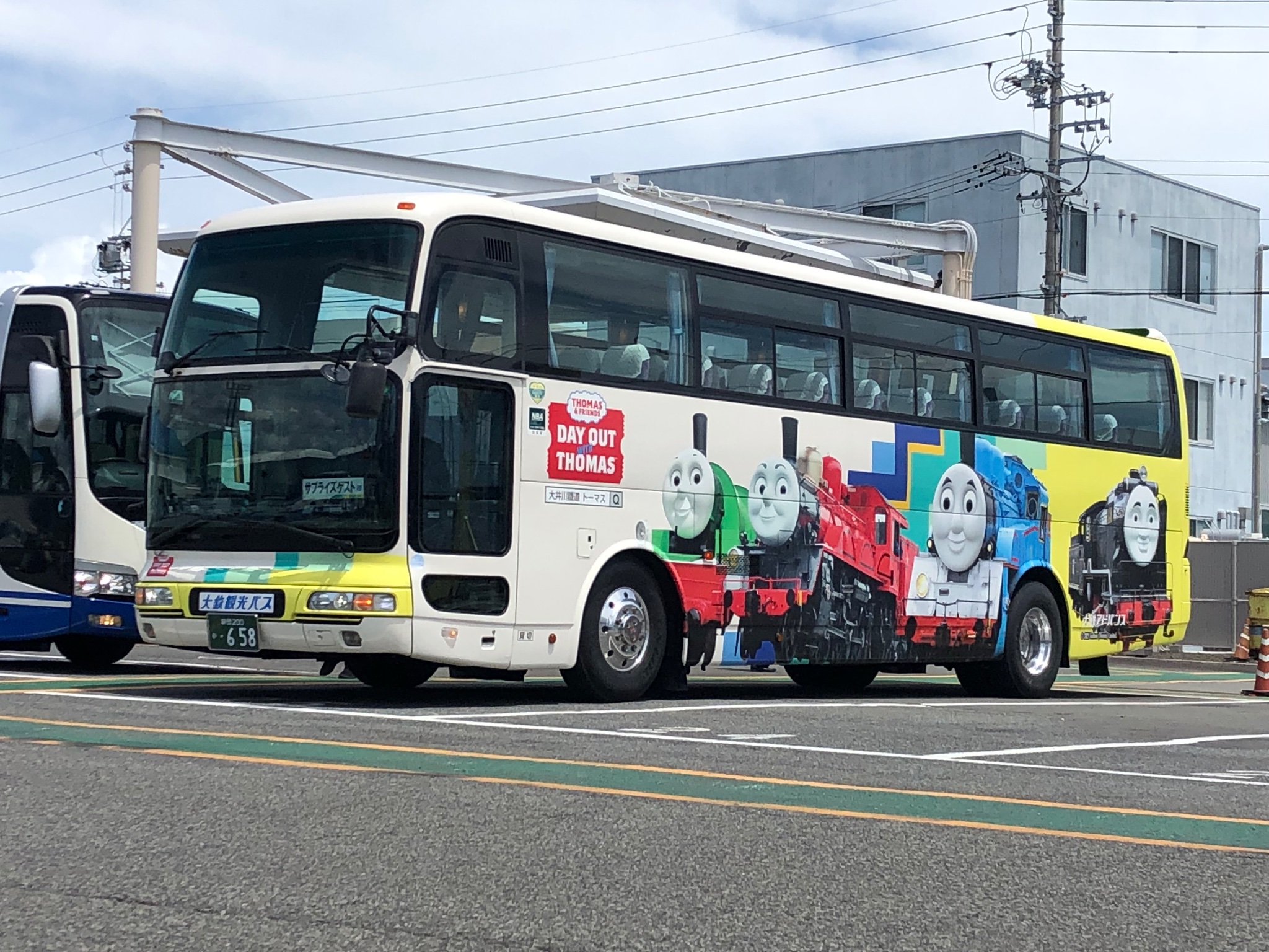 ハスの種　1000粒　Azuma 10mmmm on X: 