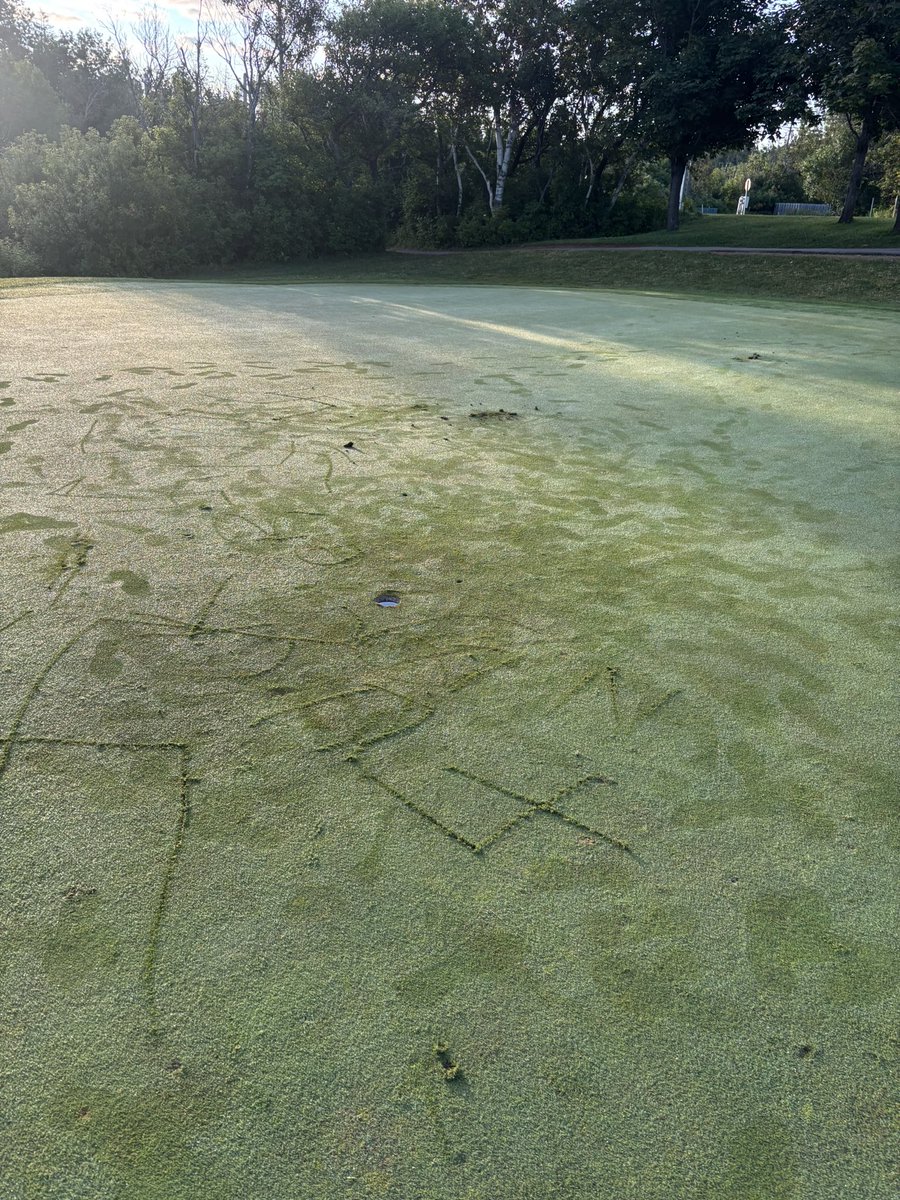 <a href="/BenKing_20/">BK</a> When the turf team sees this in the morning course prep it makes your stomach turn and your mind wonder…