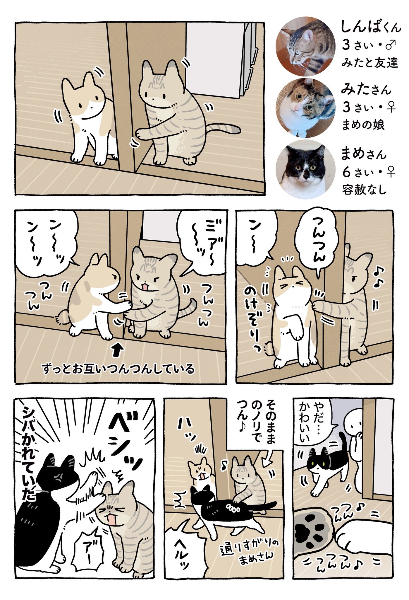 ねこまま様 312dpA-w9BL._UF350,350_QL50_.jpg