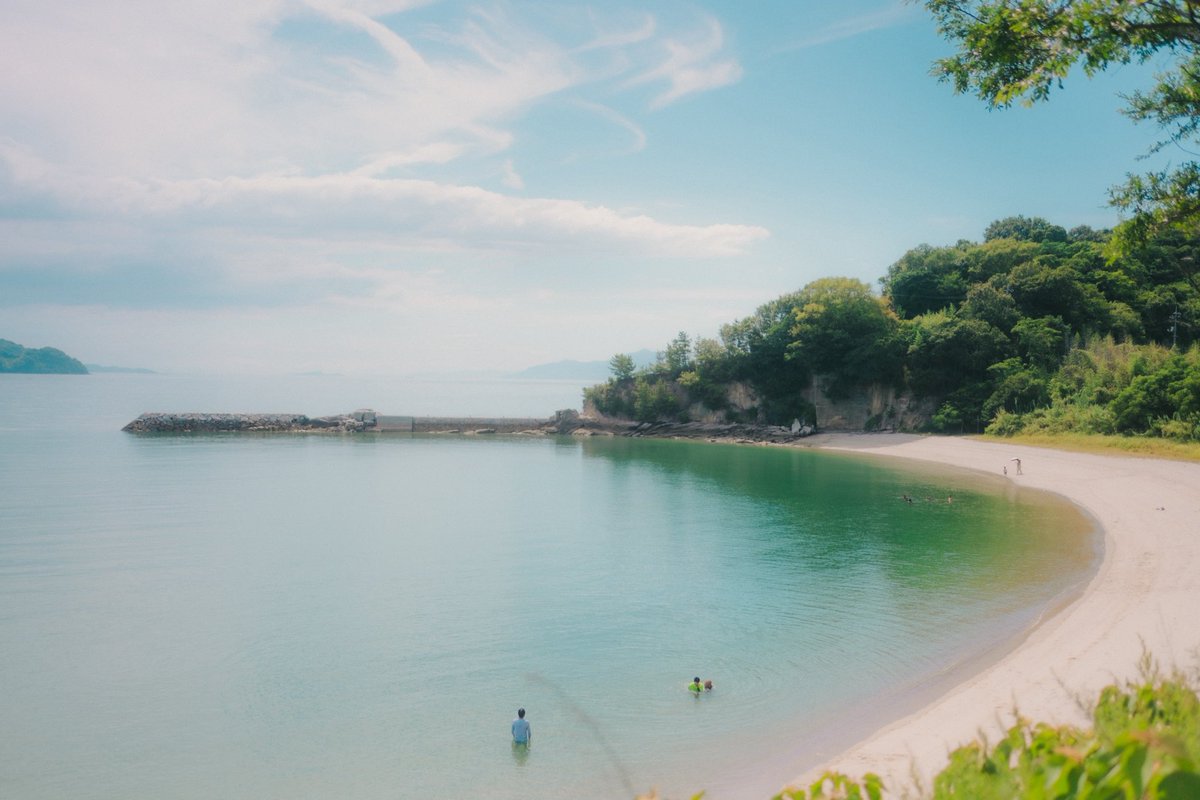 あおきまさひこ tweet media