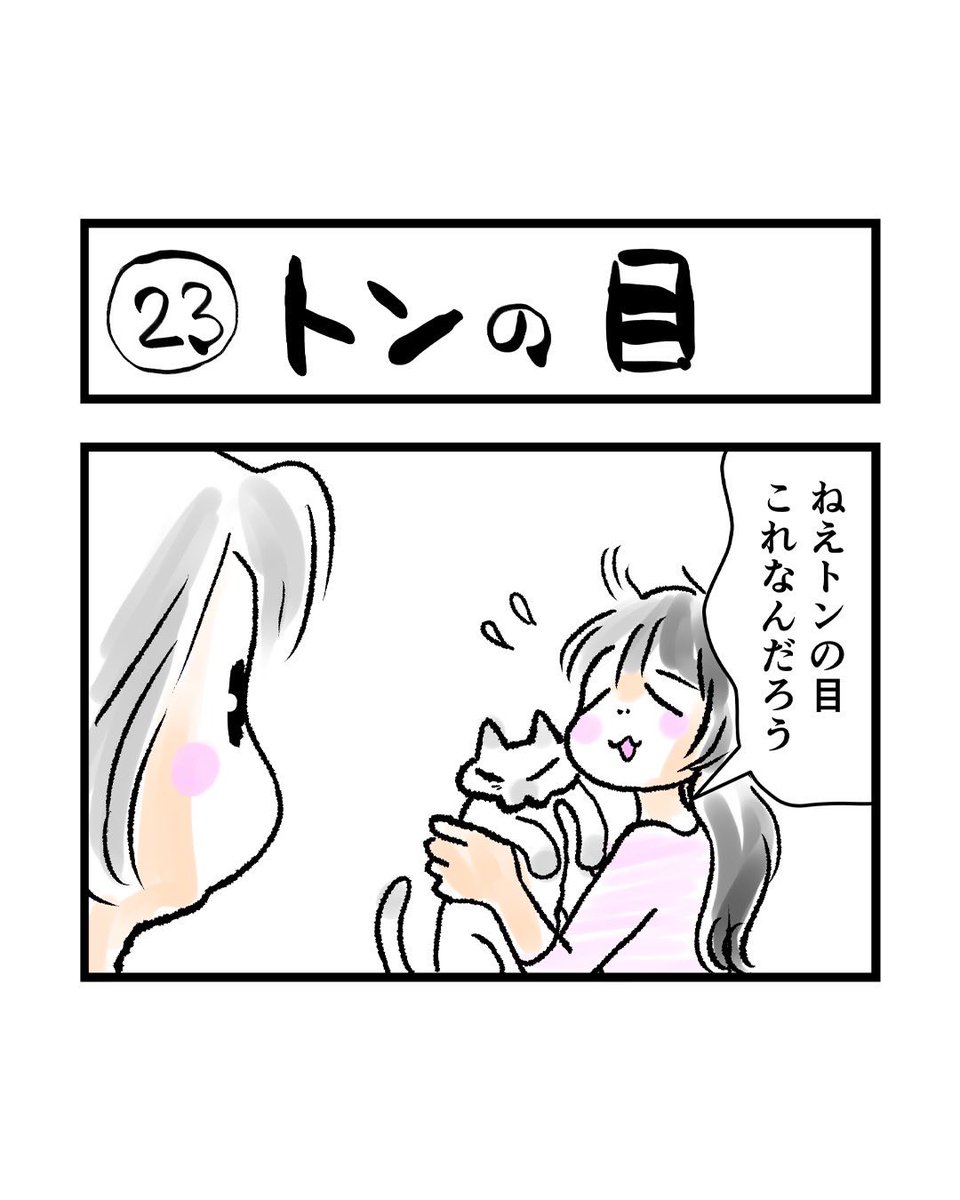 インスタ4コマ「私たちは猫猫している」更新されました。

ある日、トンの目に異変が……。

https://t.co/oVfmUlOBFs 