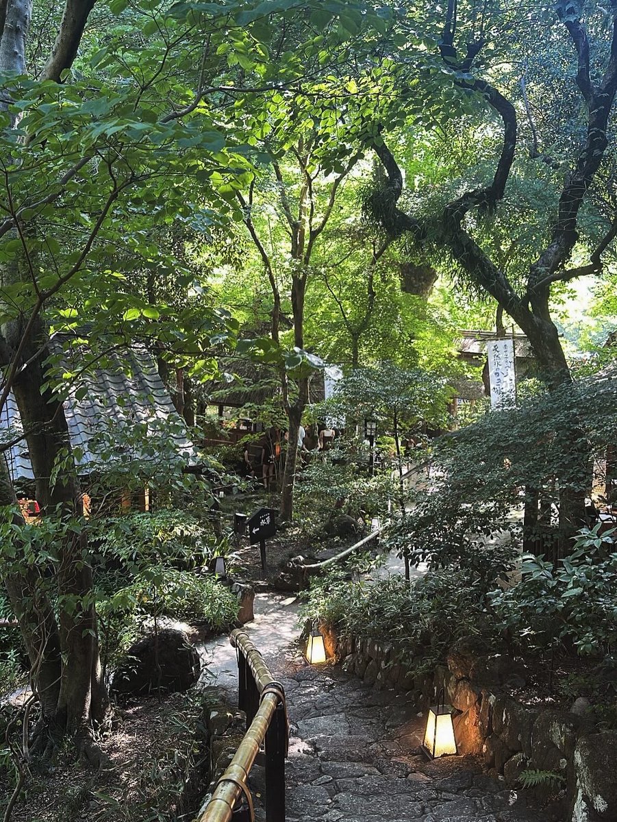 naopy0529's tweet photo. 自然を感じてきた🌲 https://t.co/9menwoea0s