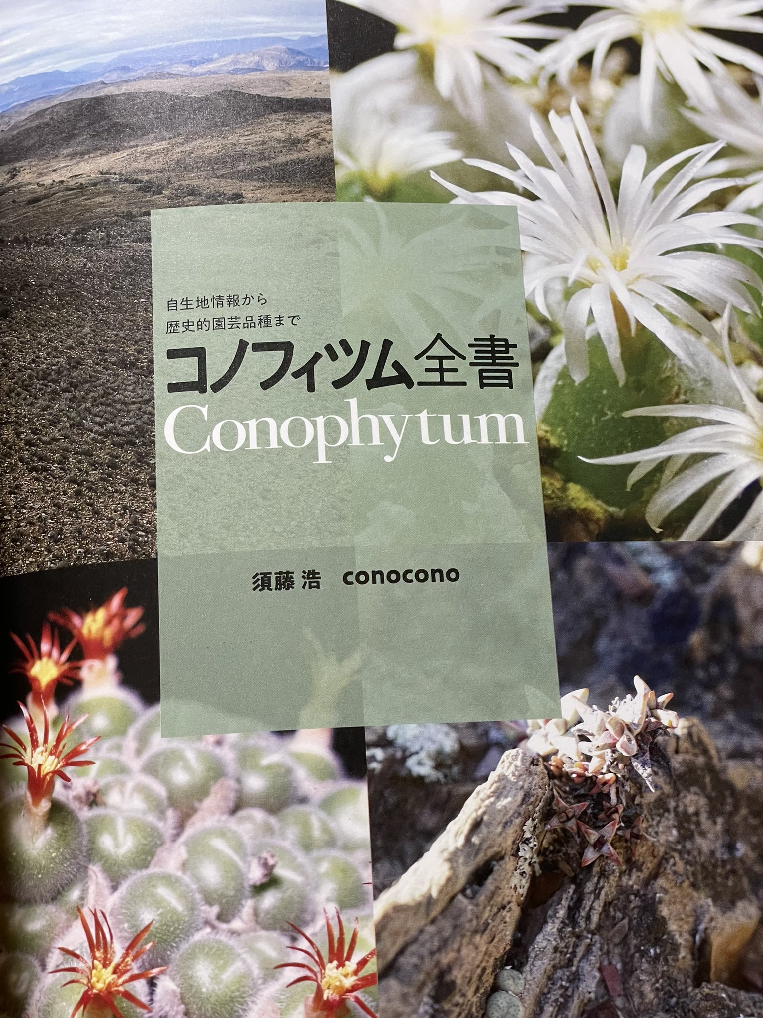 コノフィツム全書 コノフィツム全書 | conocono /須藤浩 |本 | 通販 | Amazon